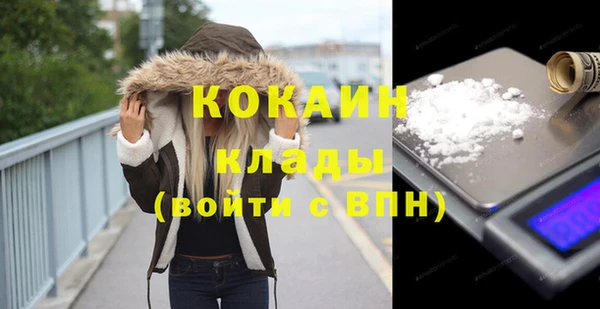 индика Осташков