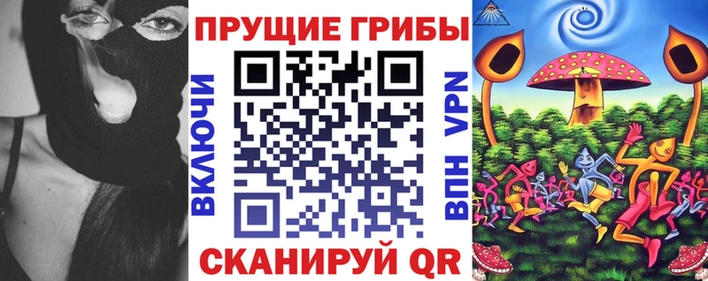 где найти   Сенгилей  Галлюциногенные грибы прущие грибы 